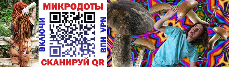 Галлюциногенные грибы Psilocybe  закладки  Ефремов 